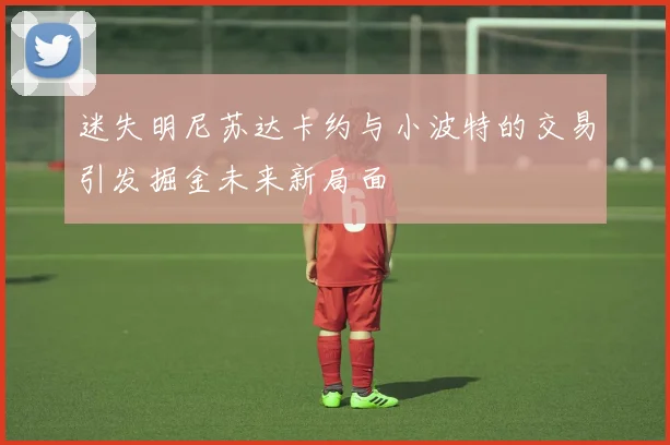 迷失明尼苏达卡约与小波特的交易引发掘金未来新局面